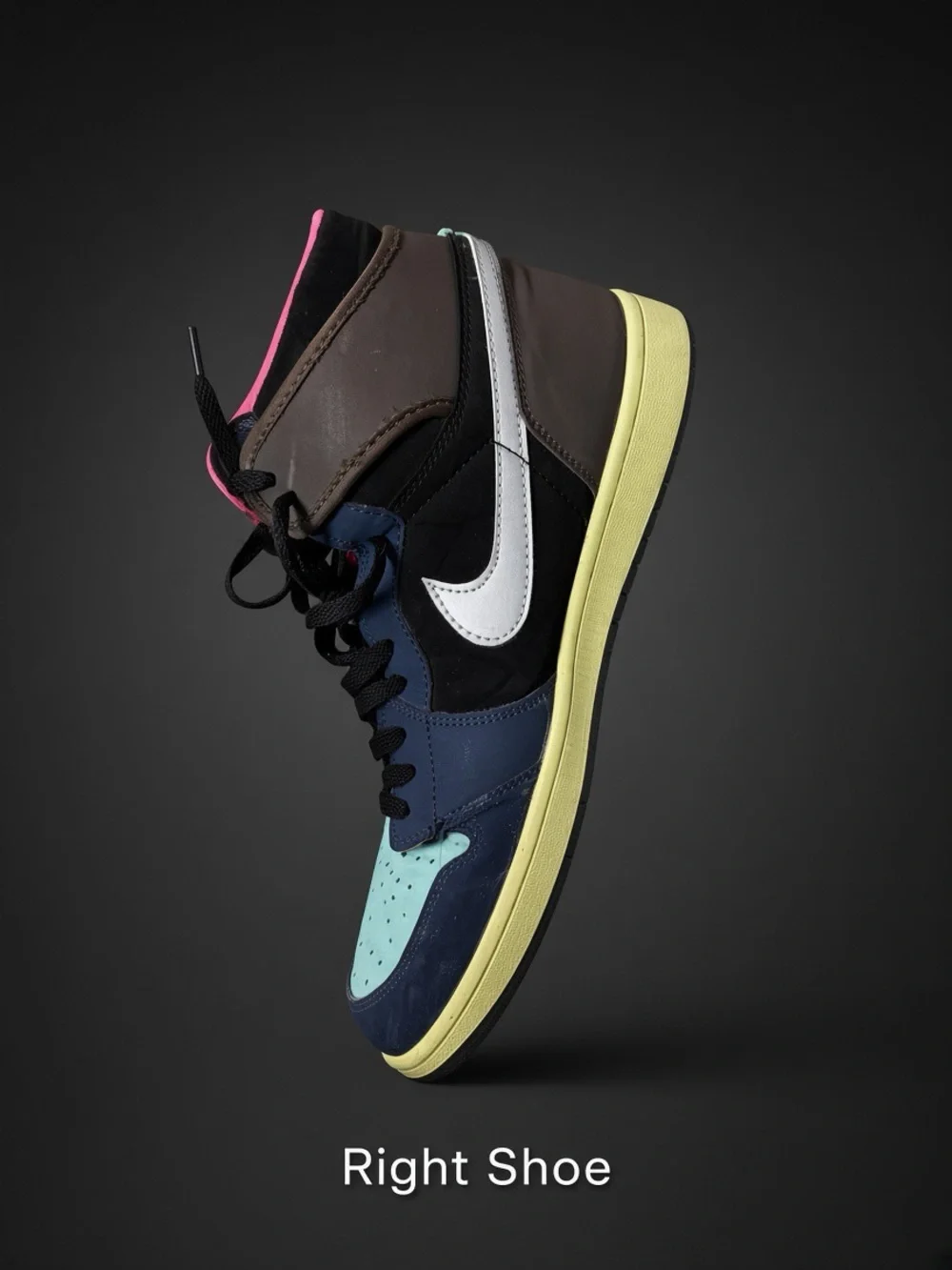Air Jordan 1 Retro High “Tokyo Bio Hack”